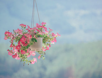 Hanging Decorations