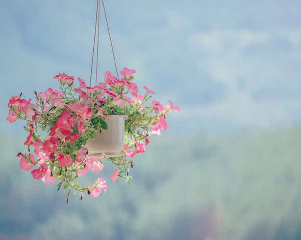 Hanging Decorations