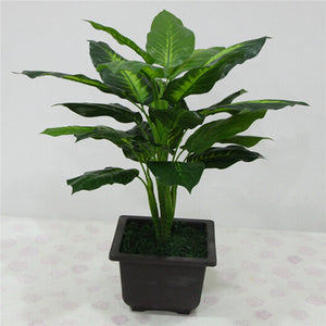 Bush Potted Plant