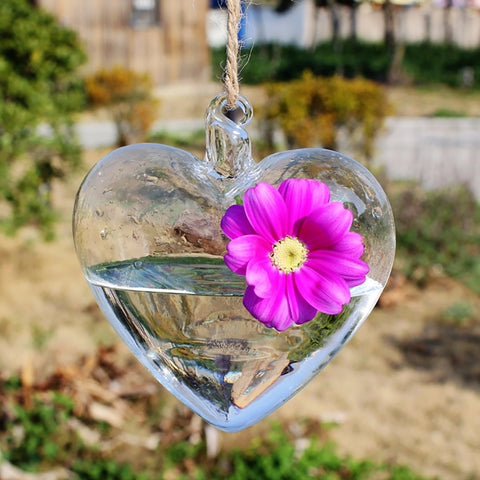 Clear Heart Shape Terrarium